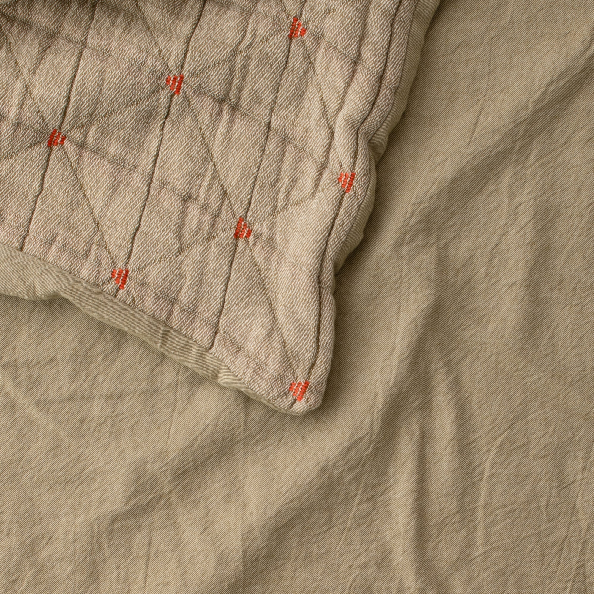 SH147376-OLPS_002-1.jpg